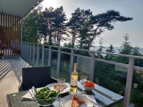 APARTAMENT BALTICHOFF PREMIUM with Sea View, Basen, Spa, Gym, Sauna, hala sportowa z kortem tenisowym in Gąski